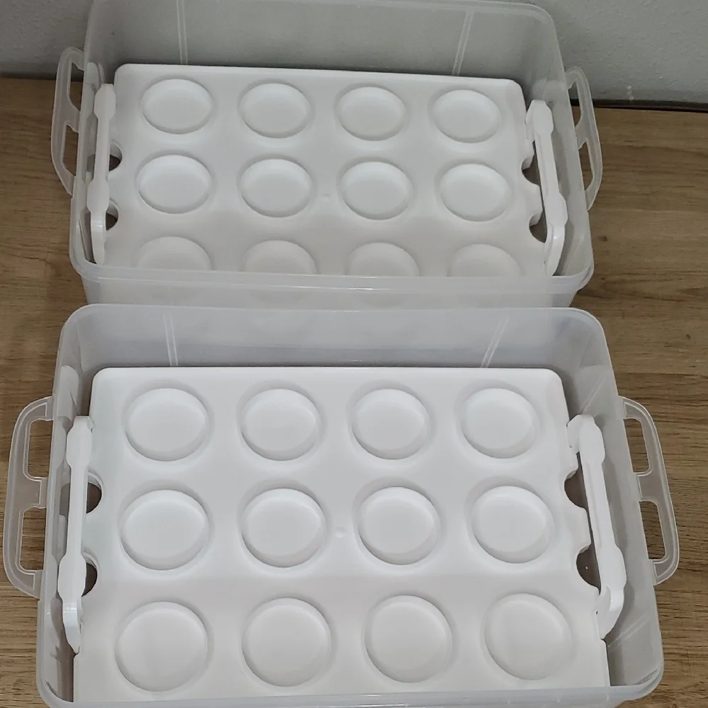 Clear Plastic 2-Tier Snapware Cupcake Cake Dessert Carrier Storage Container